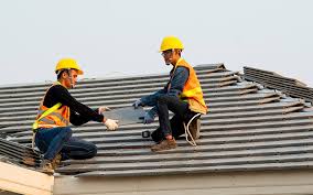 Best Roof Maintenance and Cleaning  in Adairsville, GA